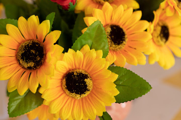 Background of flowers frame, Beautiful flower for background.