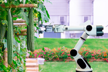 Agricultural products machinery automatic robots mechanical arm working technology.