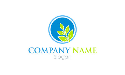 leaf logo icon