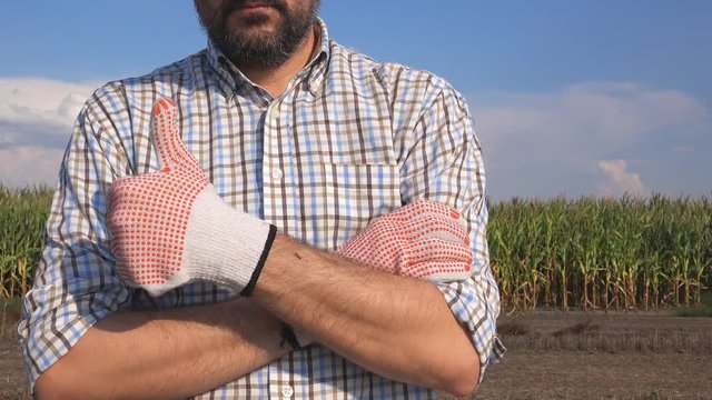 Male farmer gesturing thumbs up in corn field