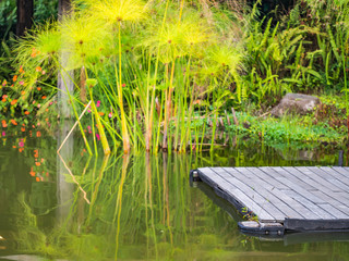 Landscape of lake with green plant and wooden floor in the park.