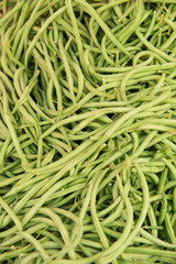 Organic Green Beans Background.