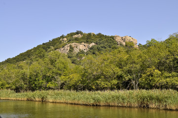 Mountain with a lion's head in the reserve Ropotamo