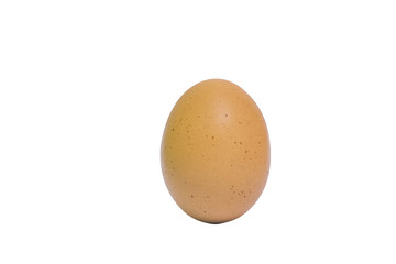 brown egg on white background