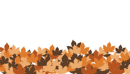 foglie, autunno, foglie secche, 