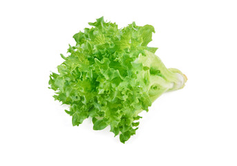 fresh frillice iceberg isolated on white background