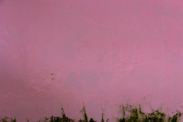 old pink messy wall with dirty stucco texture for background, Decorative wall paint.
