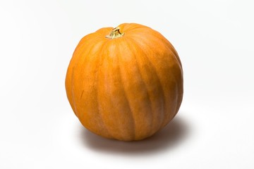 Autumn pile of Pimpkins