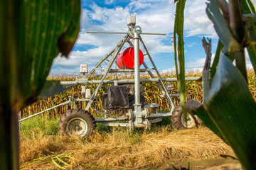 sistema de riego industrial para cultivos