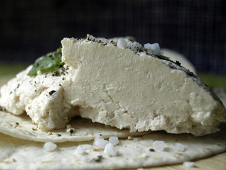 Young handmade cheese