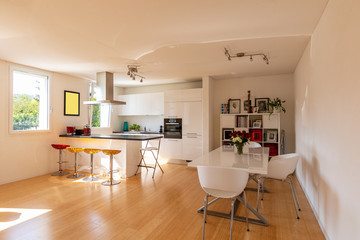 Kitchen in modern apartment with design dining room