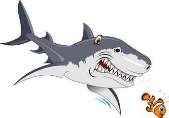 small fish and a shark