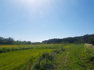 Obraz premium 千葉の空