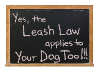 Obraz premium Yes, the leash law applies to your dog too written in white chalk on a black chalkboard isolated on white