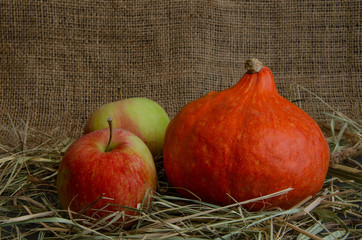Autumn. Ripe apples and pumpkin Hokkaido close-up on a substrate of grass, background burlap.