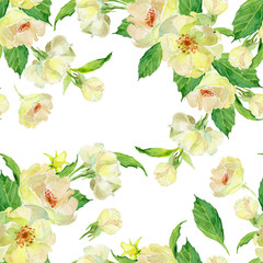 watercolor yellow rose and green leaves on white background for greetings card