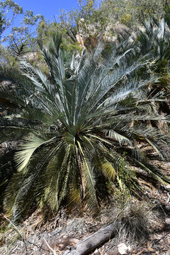 Australia, Northern Territory, Outback