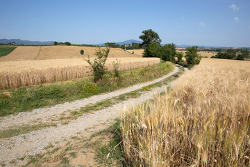 Landscape in Tuscany, Italy