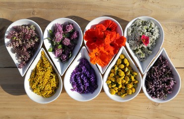 Herbs and flowers.