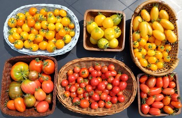 Tomatoes.
