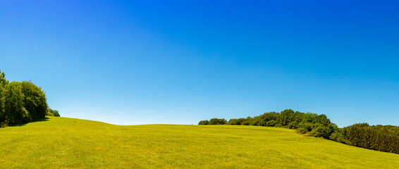 Naklejka premium Hügelige Landschaft im Sommer mit Wiese und Wald