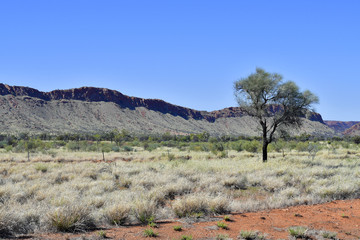Australia, Northern Territory, Outback