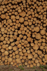 Holzstoß mit Rundholz