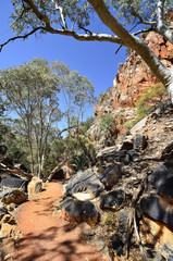 Australia, Northern Territory, Outback