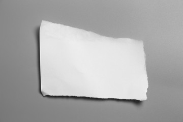 white torn paper on gray background. collection paper rip