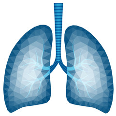 Abstract polygonal image of human lungs