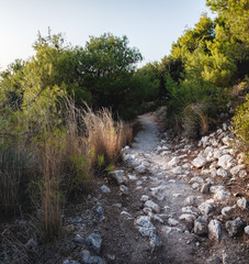 Walking rocky path to the beach in the evening twilight, Lefkada island, Greece. Natural background.