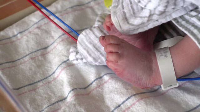 Newborn baby feet wiggling in hospital