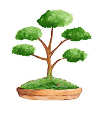 Water color tree in brown pot.