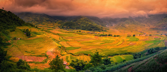 Rice fields on terraced with wooden pavilion at sunset in Sa Pa, YenBai, Vietnam.