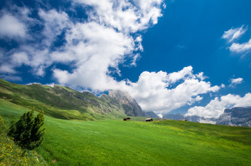 Gruppo delle Odle, view from Col Raiser. Puez Odle massif in Dolomites mountains, Italy, South Tyrol Alps, Alto Adige, Val Gardena, Geislergruppe