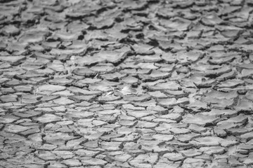 Cracks in the ground due to drought.