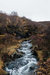 Calm River