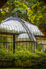 old greenhouse in park