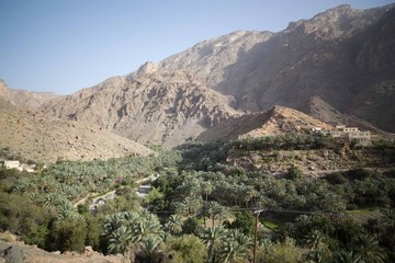 Fototapeta na wymiar Berge und grüne Landschaft im Oman