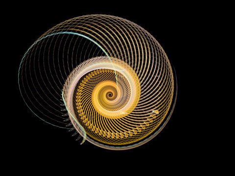 abstract fractal spiral pattern