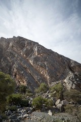 Fototapeta na wymiar Berg mit Pflanzen und Geröll im Oman