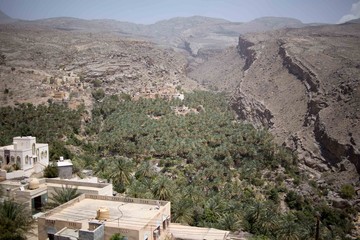 Fototapeta na wymiar Tal mit Palmen und Häusern im Oman