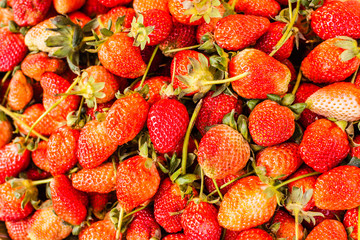 Red ripe strawberries