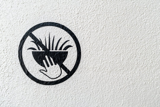 No tocar las plantas