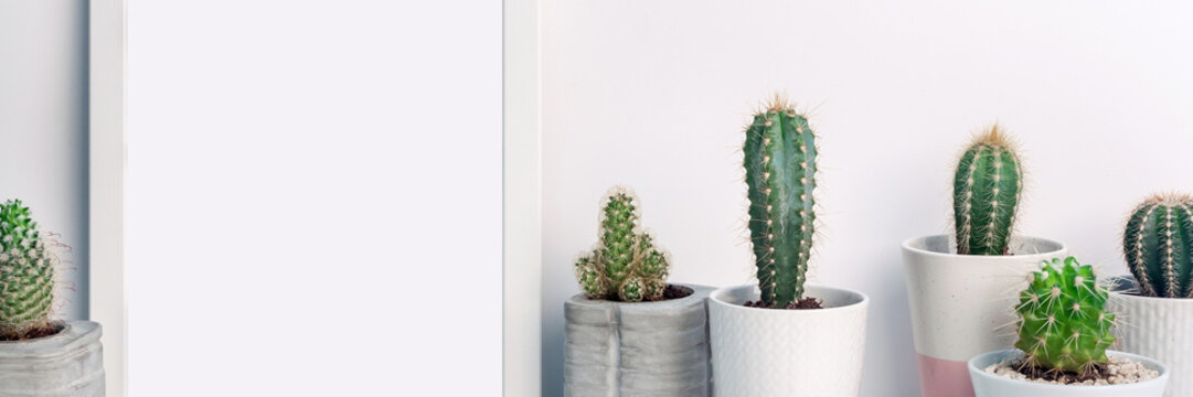 Panoramic photo of a white frame mockup with cactuses in concrete pots on an empty white background