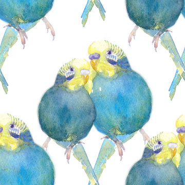 wavy parrot blue with a yellow head  watercolor illustration