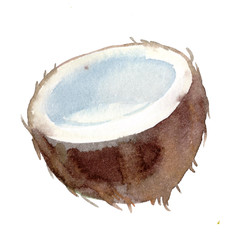 half an exotic fruit of a tropic coconut. watercolor illustration