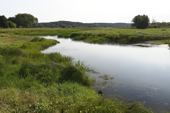 Altarm der Oder im Natura 2000 Gebiet "Dolna Odra" / Nationalpark Unteres Odertal / Polen 