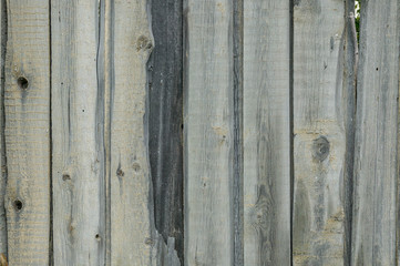 Old wooden planks texture. Vertically oriented texture