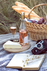 Picnic in the meadow